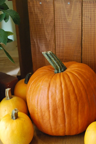 ハロウィンの季節がやってきました♪_a0201358_1623071.jpg