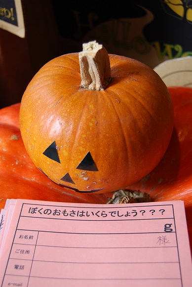ハロウィンの季節がやってきました♪_a0201358_1671866.jpg