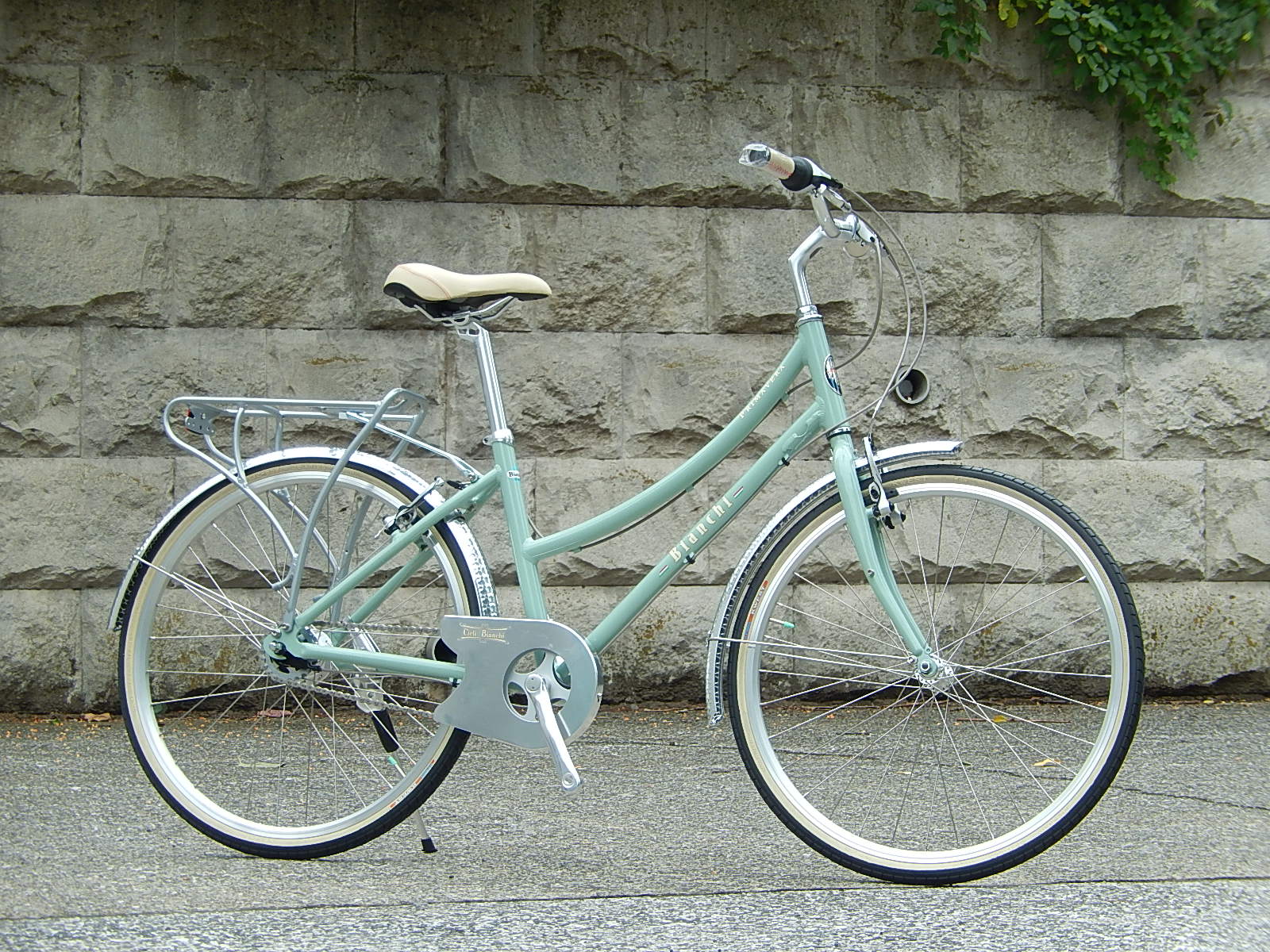 Bianchi PRIMAVERA-L_e0188759_16115366.jpg