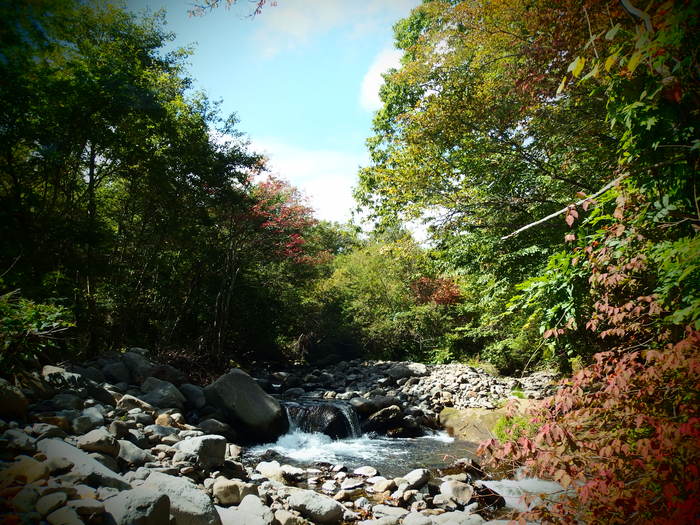 e0212759_22114627.jpg