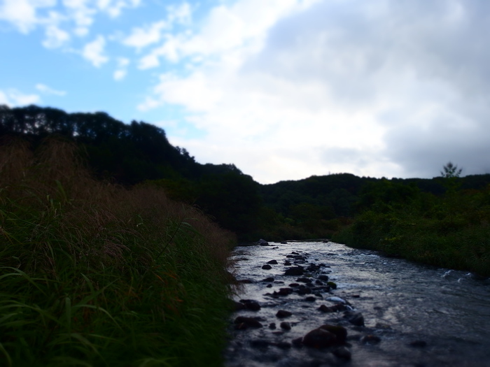 e0212759_2281917.jpg