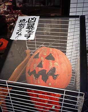 10月のお休み_b0318860_22252637.jpg