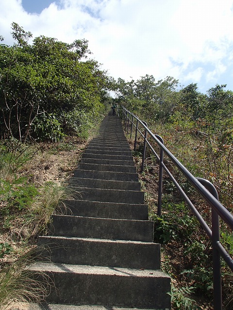b0044663_16484821.jpg
