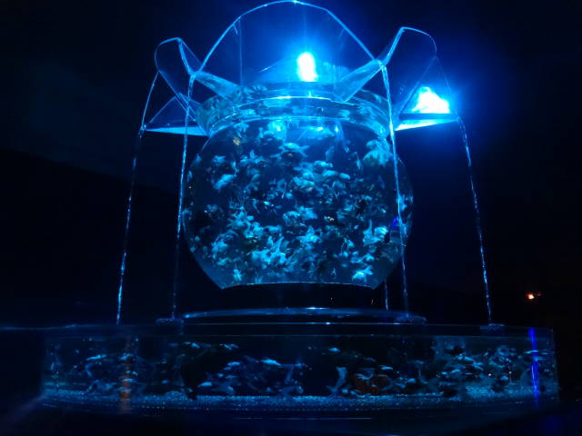 c0155364_2433121.jpg