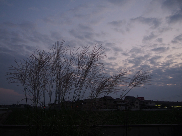 b0194267_20153031.jpg