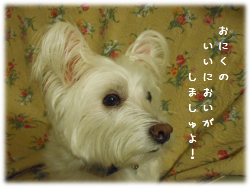 b0242873_00423295.png
