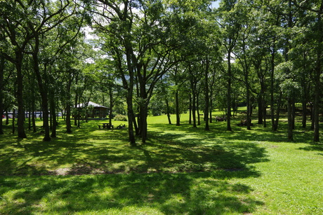 a0201077_1943121.jpg