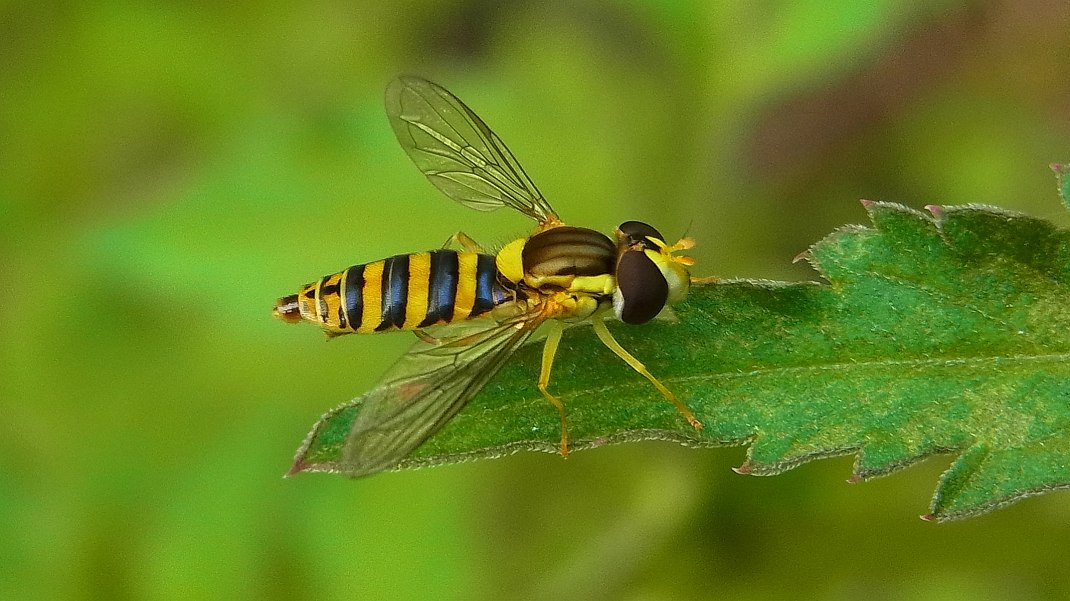 f0346184_19332547.jpg