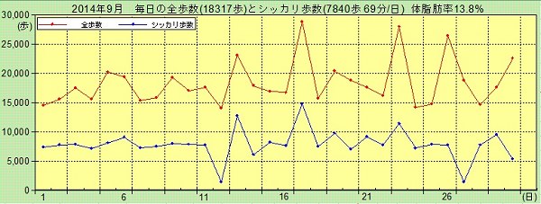 ヒラタアブの仲間_f0346184_2218349.jpg