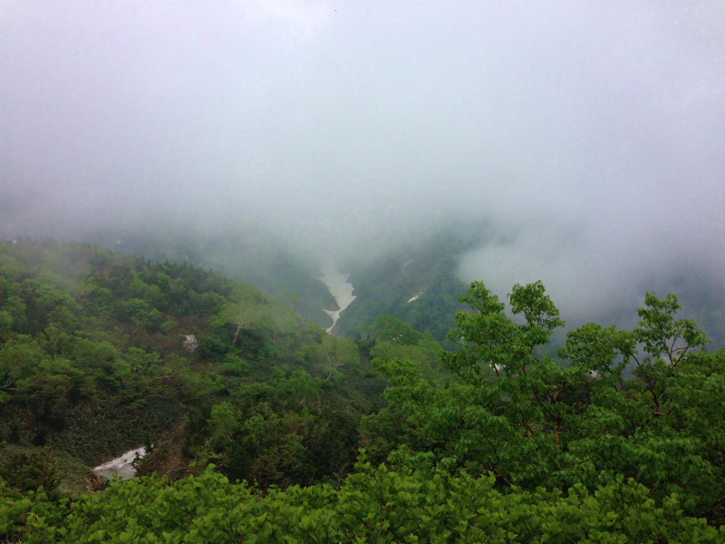 白山チブリ尾根 2014/06/18_b0220886_17412994.jpg