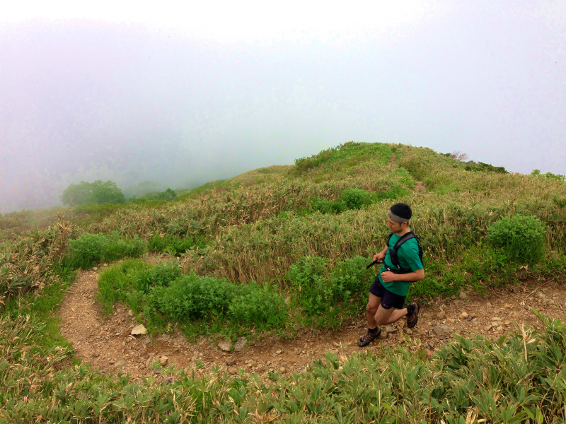 白山チブリ尾根 2014/06/18_b0220886_17471132.jpg