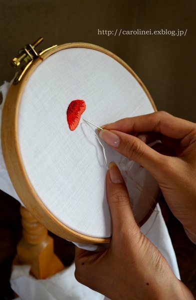 ローラです　　Embroidering autumn motif_d0025294_13173214.jpg