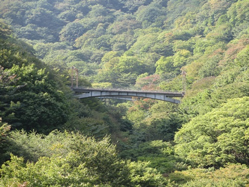 d0153294_19411629.jpg