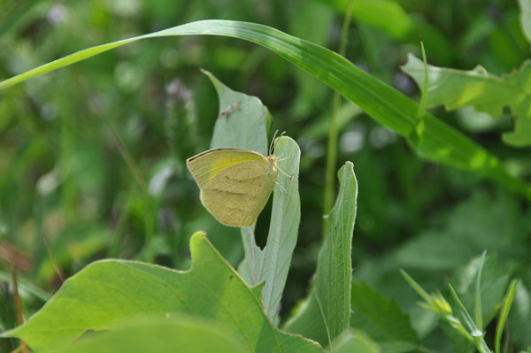 c0049095_14570.jpg
