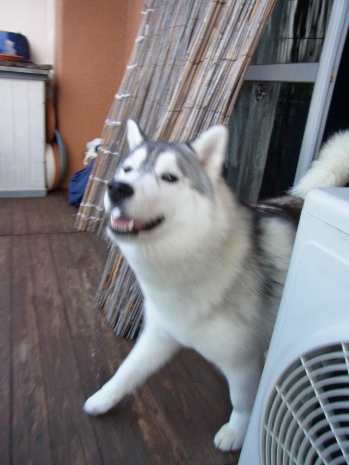 c0049299_21591238.jpg