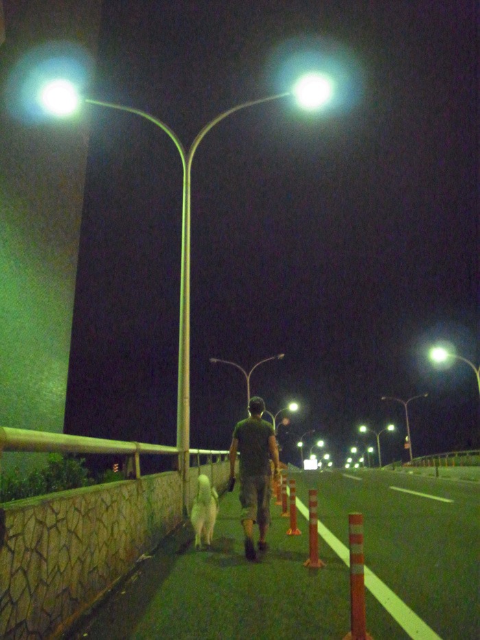 c0049299_21595515.jpg