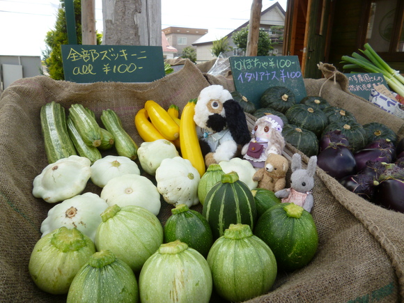 ぬいぐるみさんの北海道ツアー　北海道！またね！_f0256400_9155383.jpg