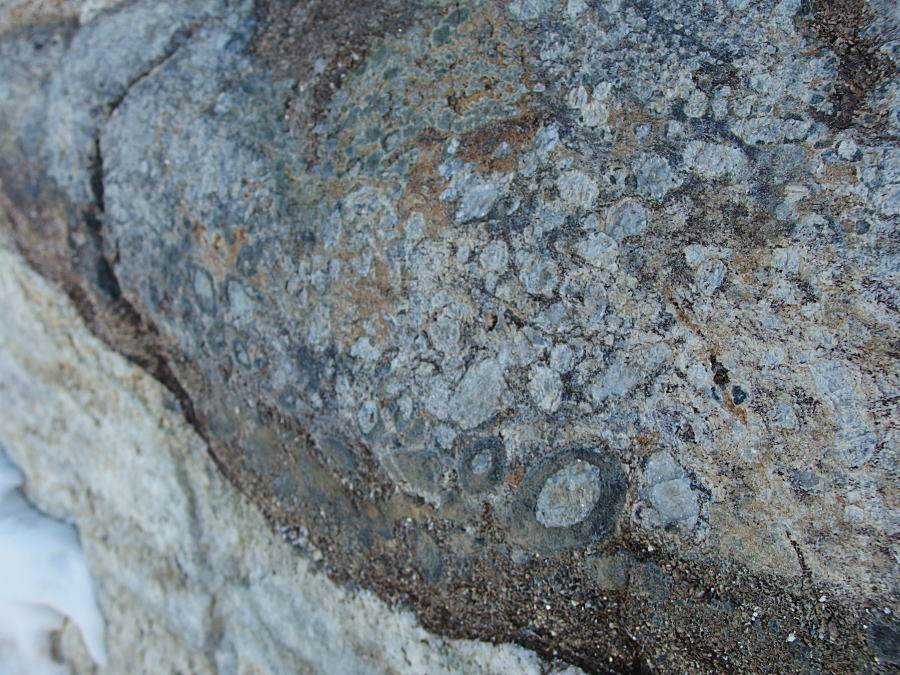 c0193901_5103559.jpg