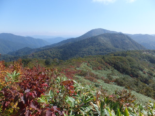 a0271502_14353766.jpg