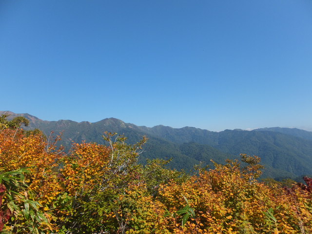 a0271502_14404376.jpg