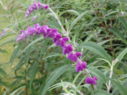 c0156104_2123639.jpg
