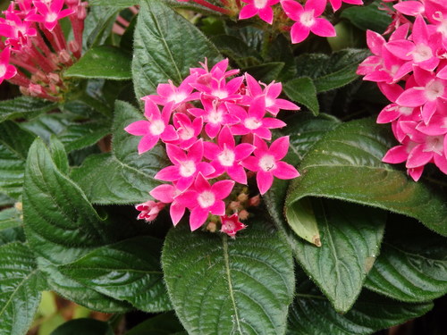 c0156104_21241097.jpg