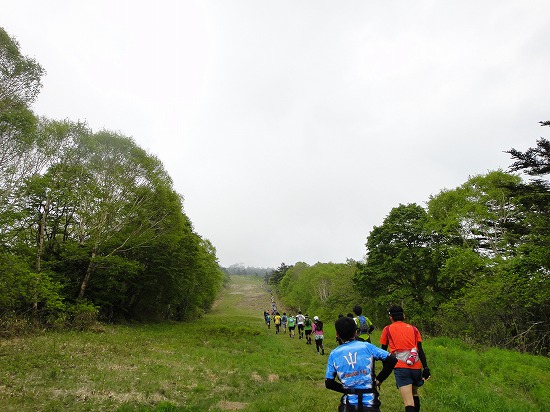 c0337813_13500573.jpg