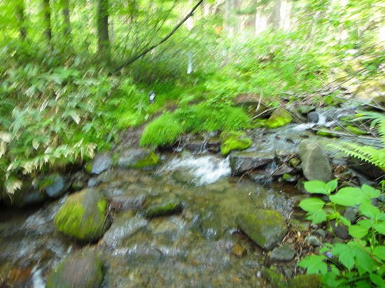 c0337813_13500797.jpg