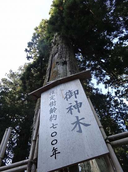 c0337813_13501457.jpg