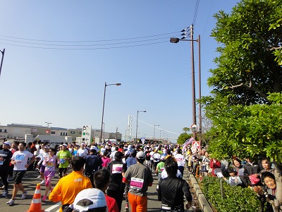 神戸マラソン、残念ながら力不足。。_c0337813_19164652.jpg