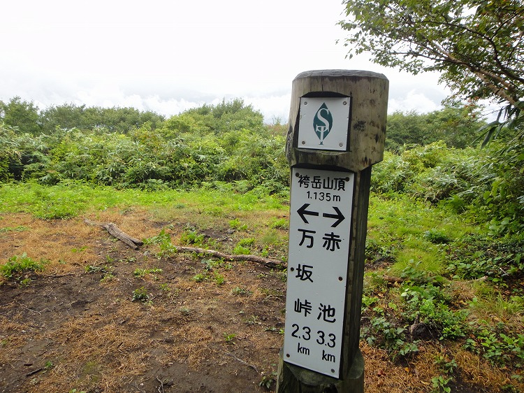 c0337813_8102256.jpg