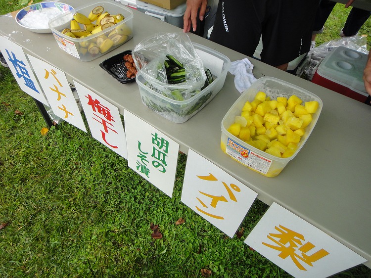 信越五岳トレイルランニングレース110km 2013　レース当日_c0337813_8102467.jpg