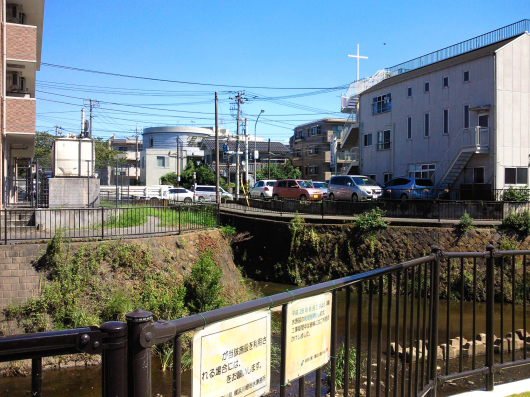 中川からお江様ゆかりの満願寺を訪ねて_b0228416_22181784.jpg