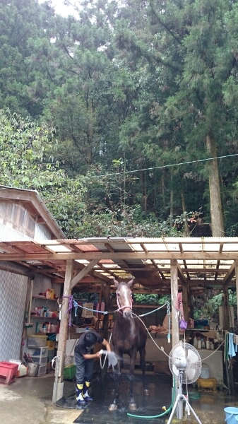 b0187620_2125772.jpg