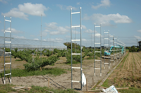 b0178923_537566.gif