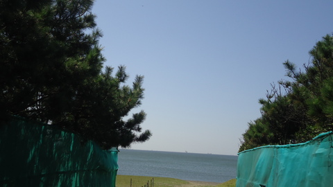 b0057924_1616228.jpg
