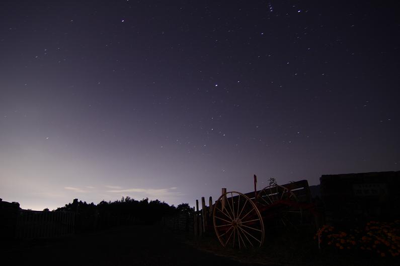 昇る冬の星座（東の空）_f0118426_0282434.jpg