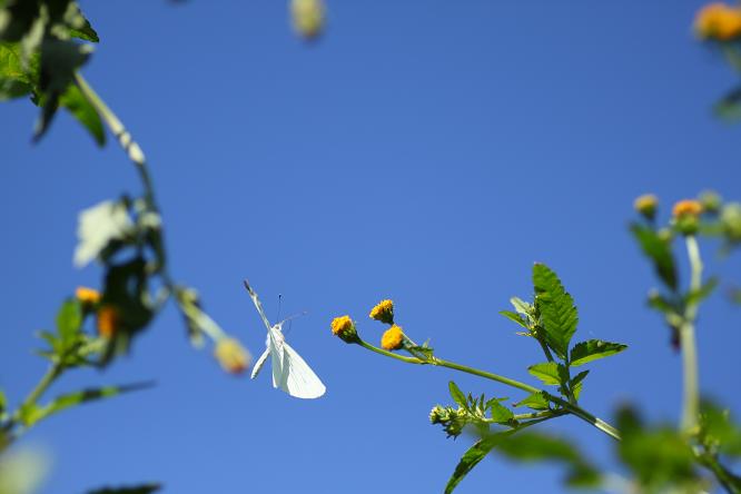 f0118426_028593.jpg