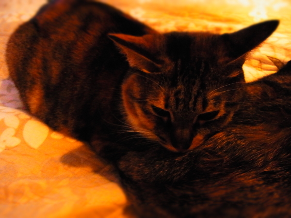 a0305046_08501689.jpg
