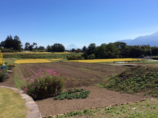 八ヶ岳・富士山・甲斐駒を望む花の園_a0053063_16185667.jpg