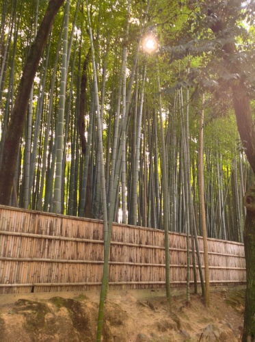 京都秋の美術鑑賞 其の二_b0153663_23170072.jpg