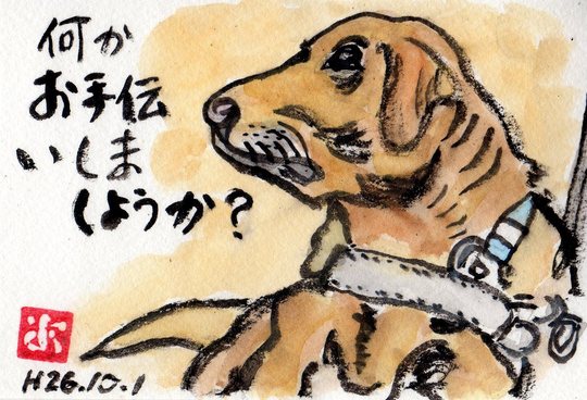 盲導犬のポスター_e0232277_1120880.jpg