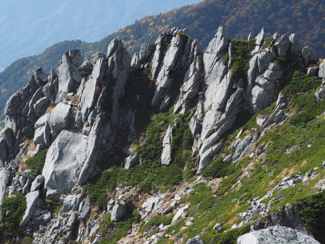 山の紅葉　最高の季節に　木曽駒ケ岳登山　その３（乗越浄土から千畳敷カール）_d0016584_197412.jpg