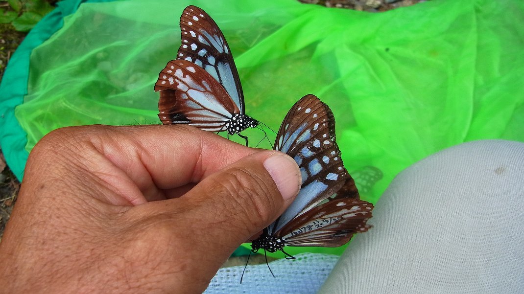 f0346184_23233225.jpg