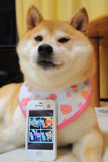 銀ちゃんも好きなアニメ_a0126590_23115711.jpg