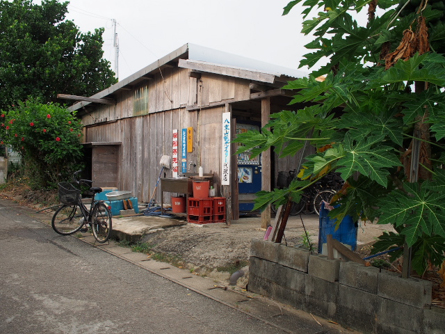 八重山諸島の旅　鳩間島④_f0024992_901358.jpg