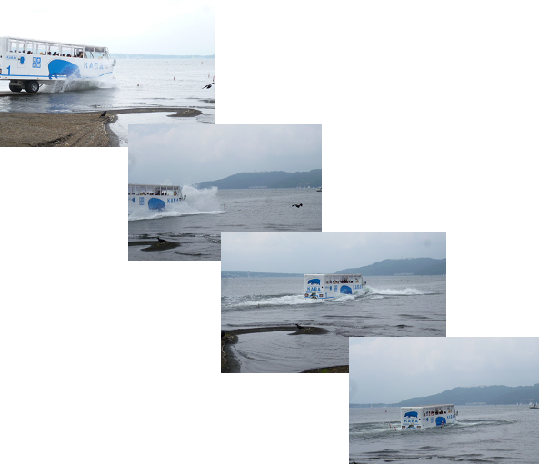 d0282395_23311317.png