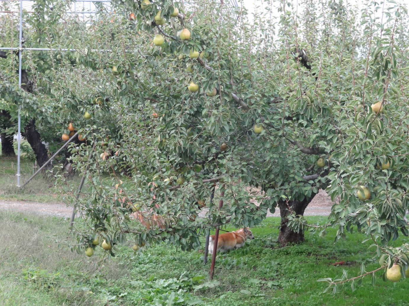 f0075595_23164925.jpg