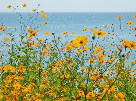 a0125598_21353677.jpg