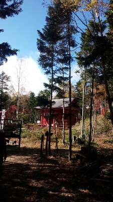 d0174598_19184027.jpg